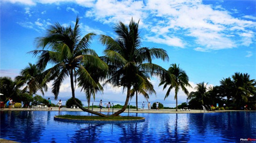 喵的寿司日式料理