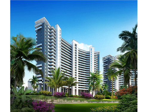 镇江金鼎轩锅盖面