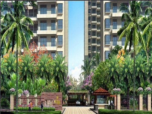 铁蛋鸡汤刀削面