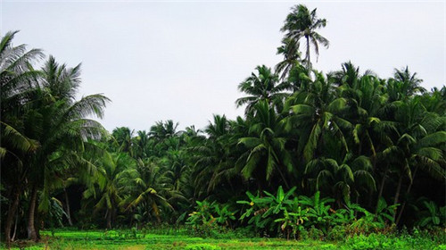 [加盟炒饭店，营业额多少能回本？]