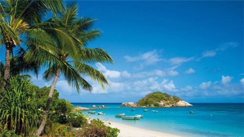 加盟川小兜酸辣粉开店怎么样