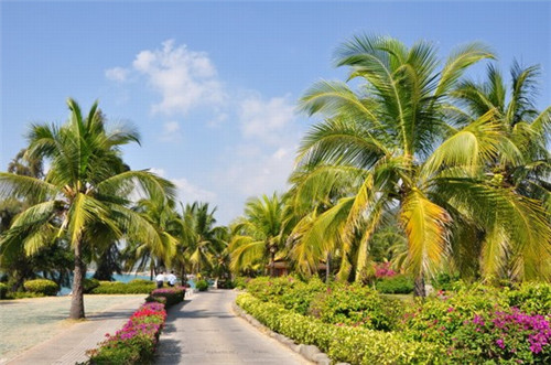 加盟奈哥老坛酸菜鱼客源稳定吗，酸菜鱼这个行业好做吗