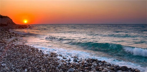 2025骑马机加盟店哪家品牌加盟费低