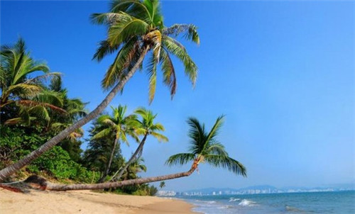 在凭祥市加盟绝味擀面皮靠谱吗