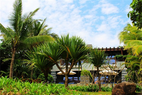 加盟时尚奶茶受欢迎吗