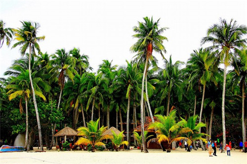 房子砸了重新装修划算吗（房子砸了重装费用）