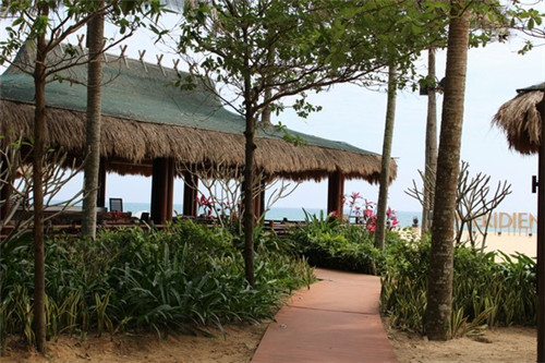 2025青瓷杯连锁店什么项目比较火爆（青瓷杯的好处）