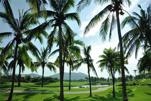 赣州市益智玩具加盟投资开店哪些品牌比较火爆